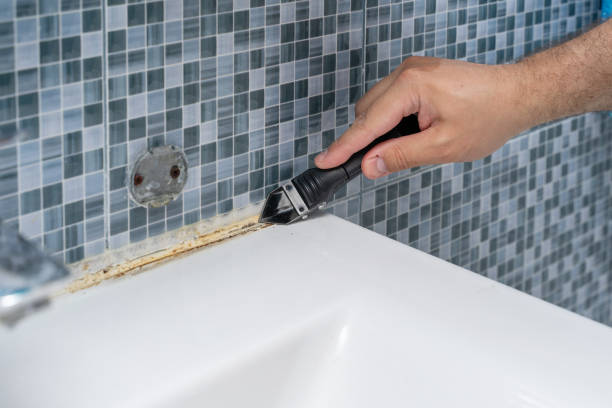 Best Mold Remediation  in Elwood, IN