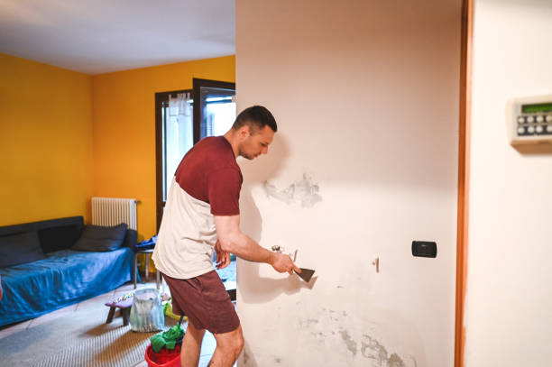 Best Crawl Space Mold Removal  in Elwood, IN